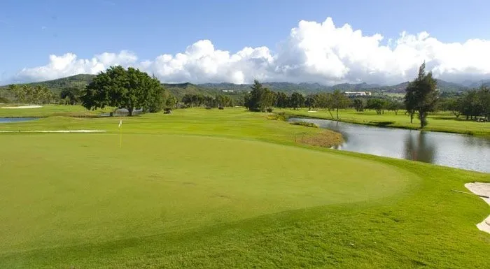 Golf course photo