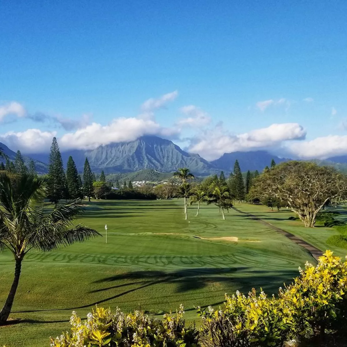 Golf course photo
