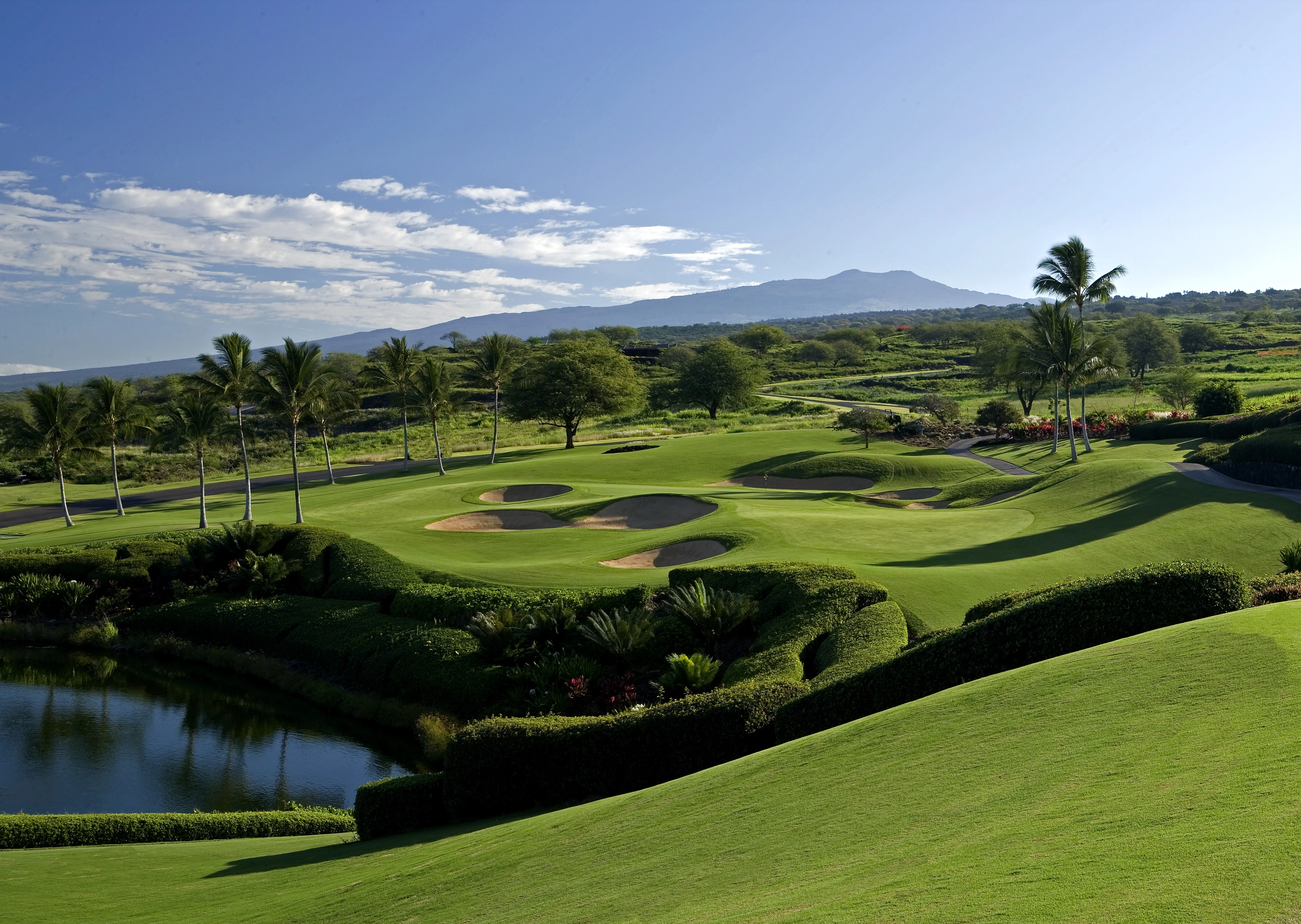 Golf course photo