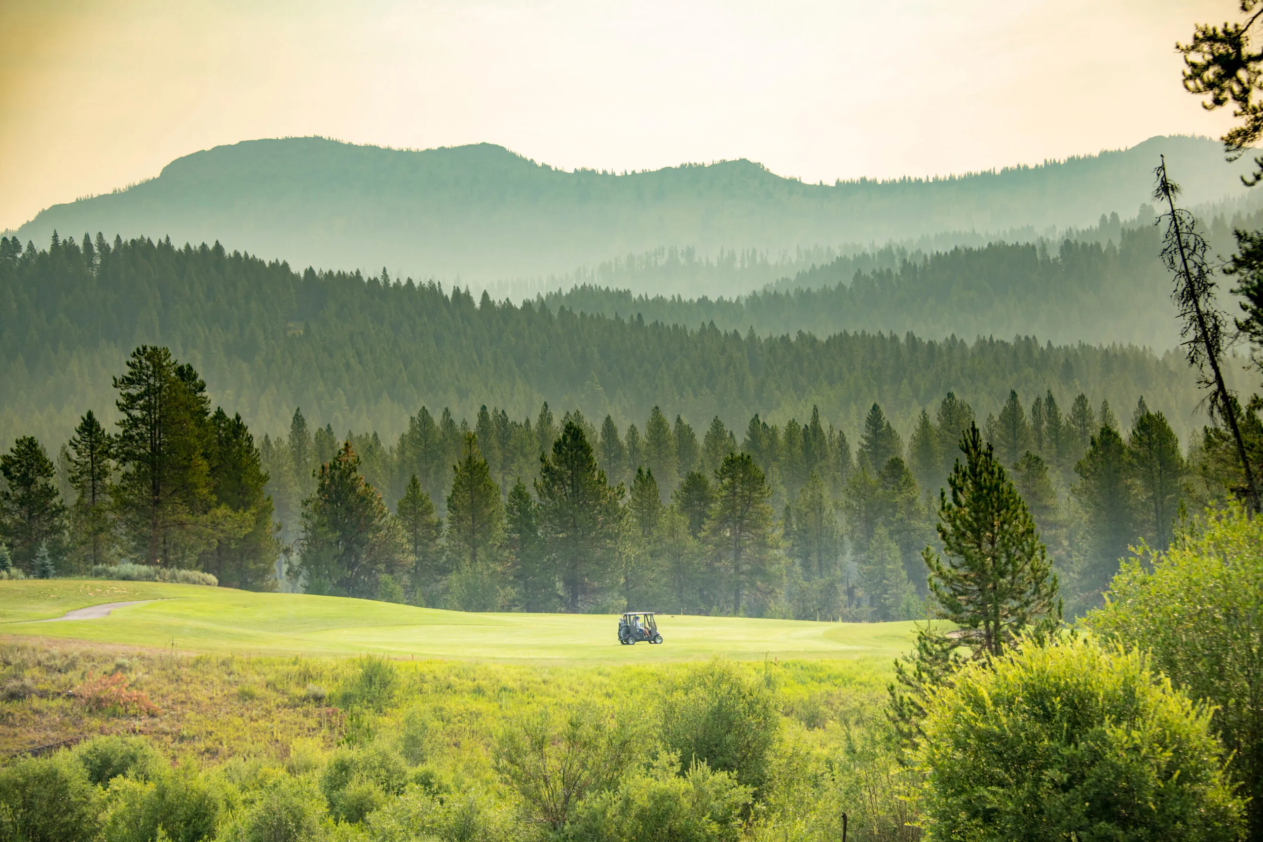 Golf course photo