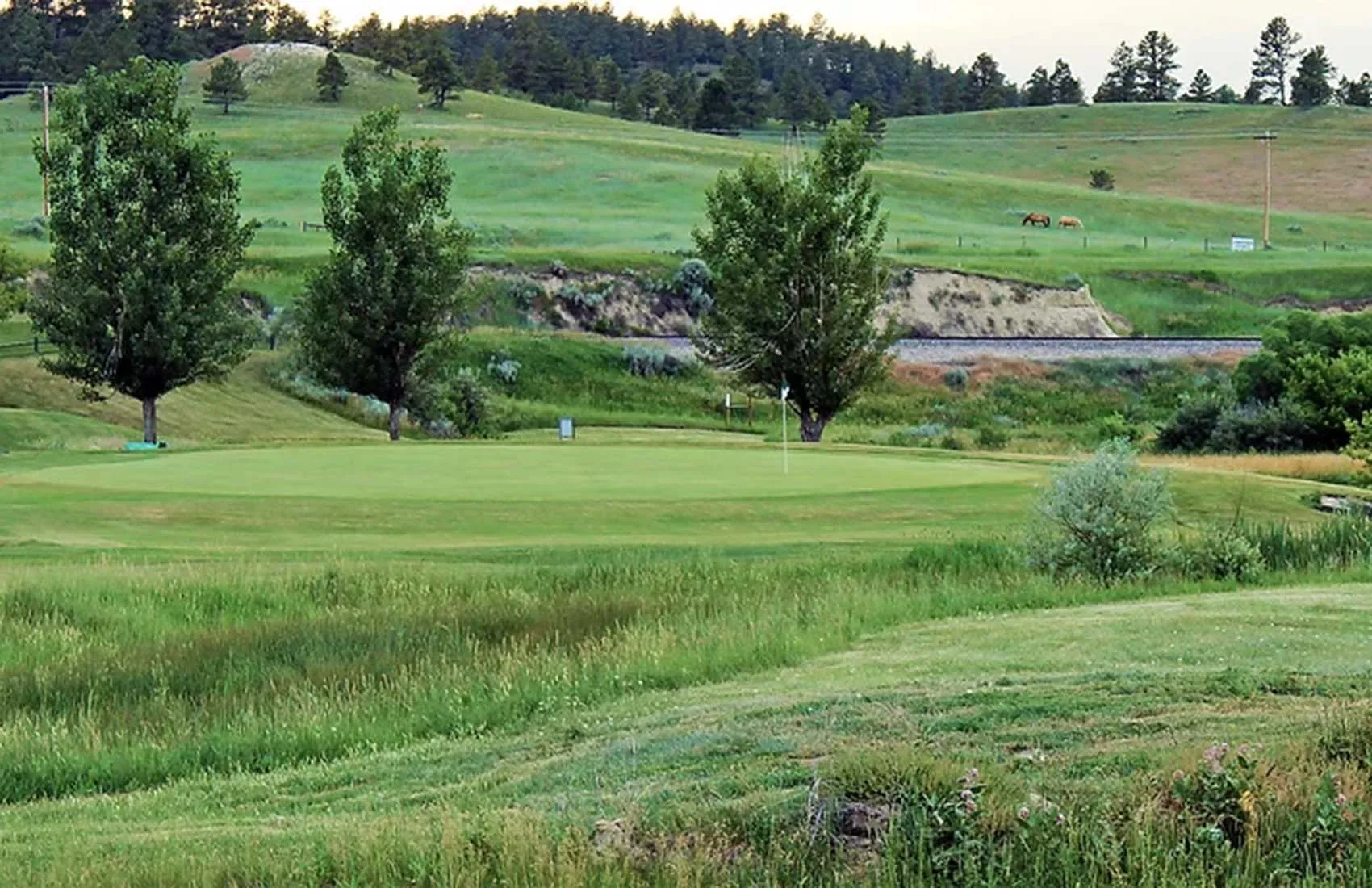Golf course photo