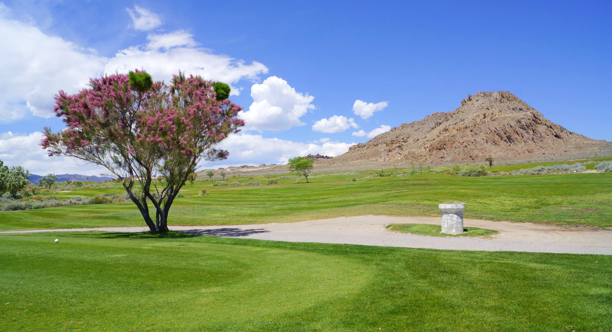 Golf course photo
