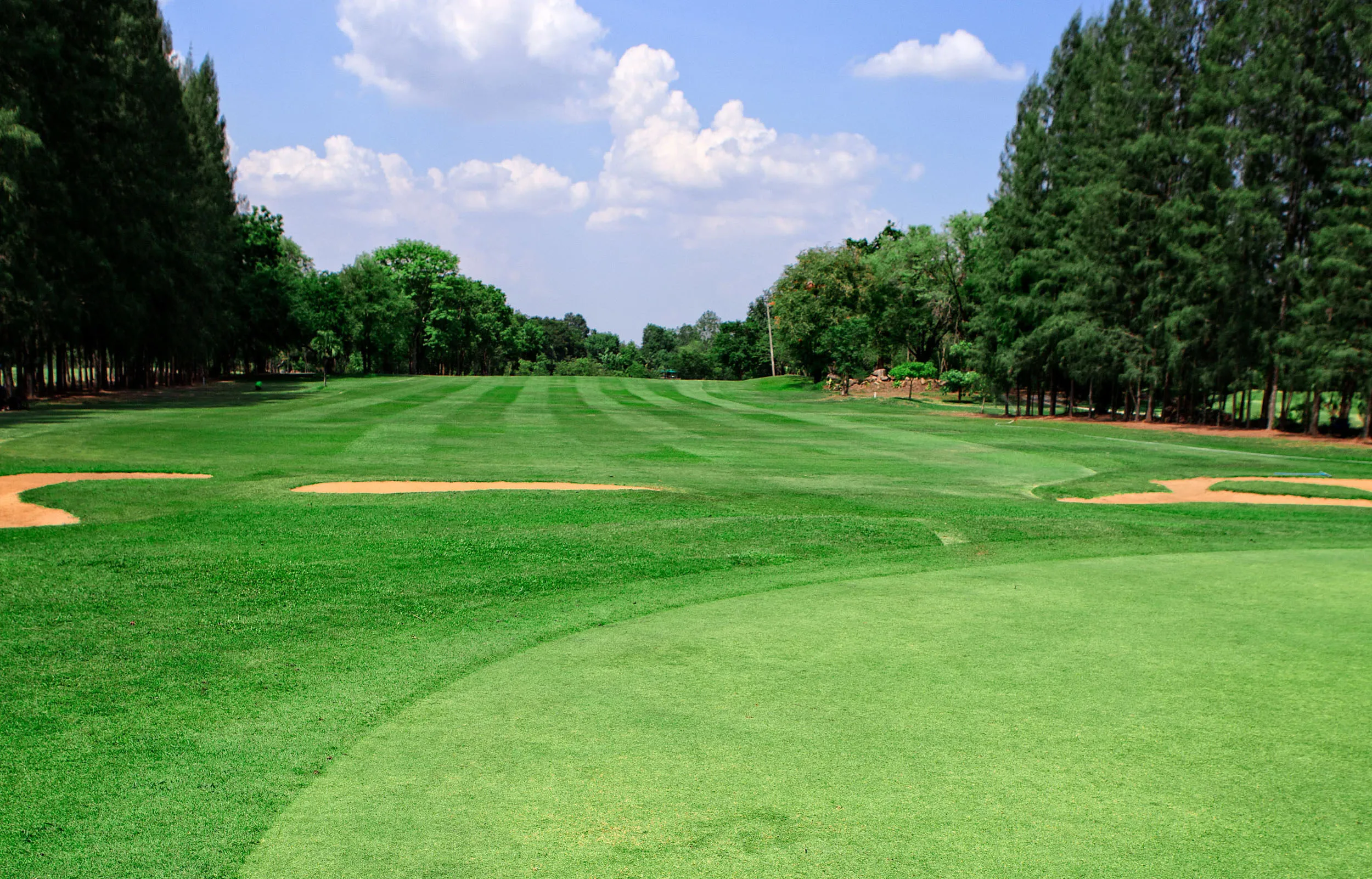 Golf course photo