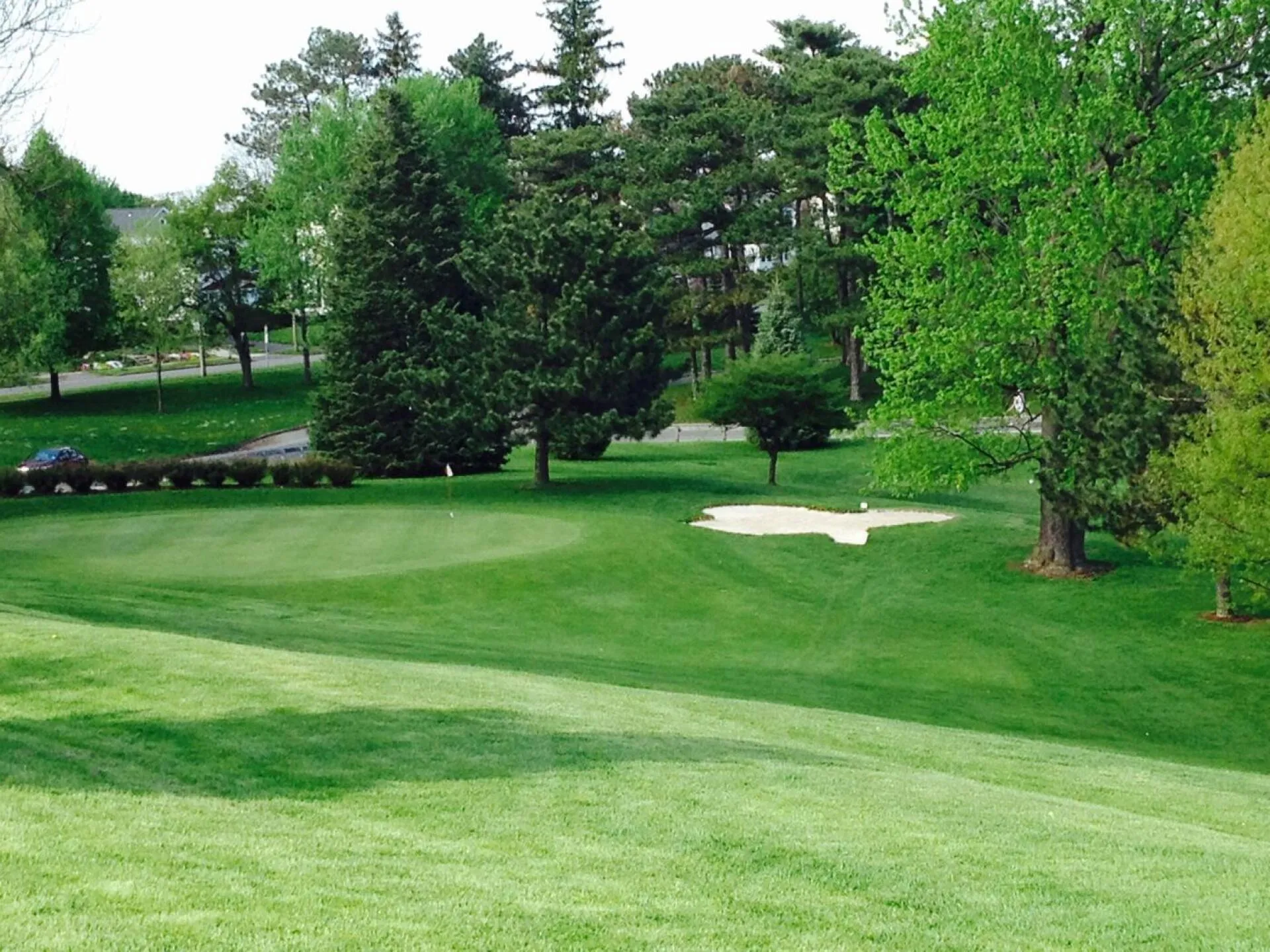 Golf course photo