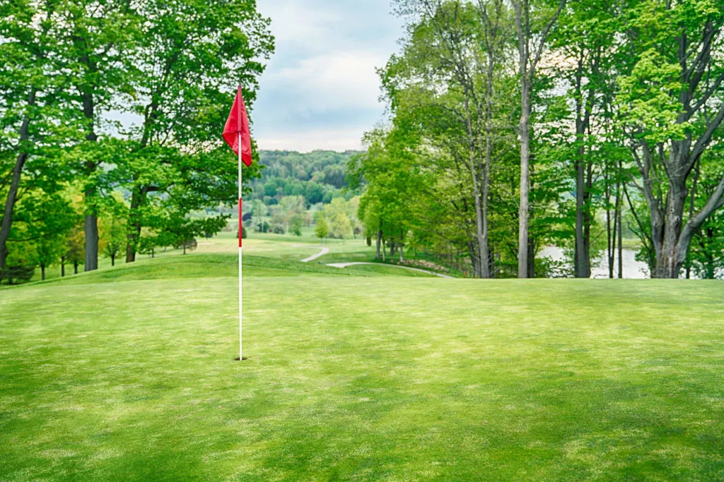 Golf course photo