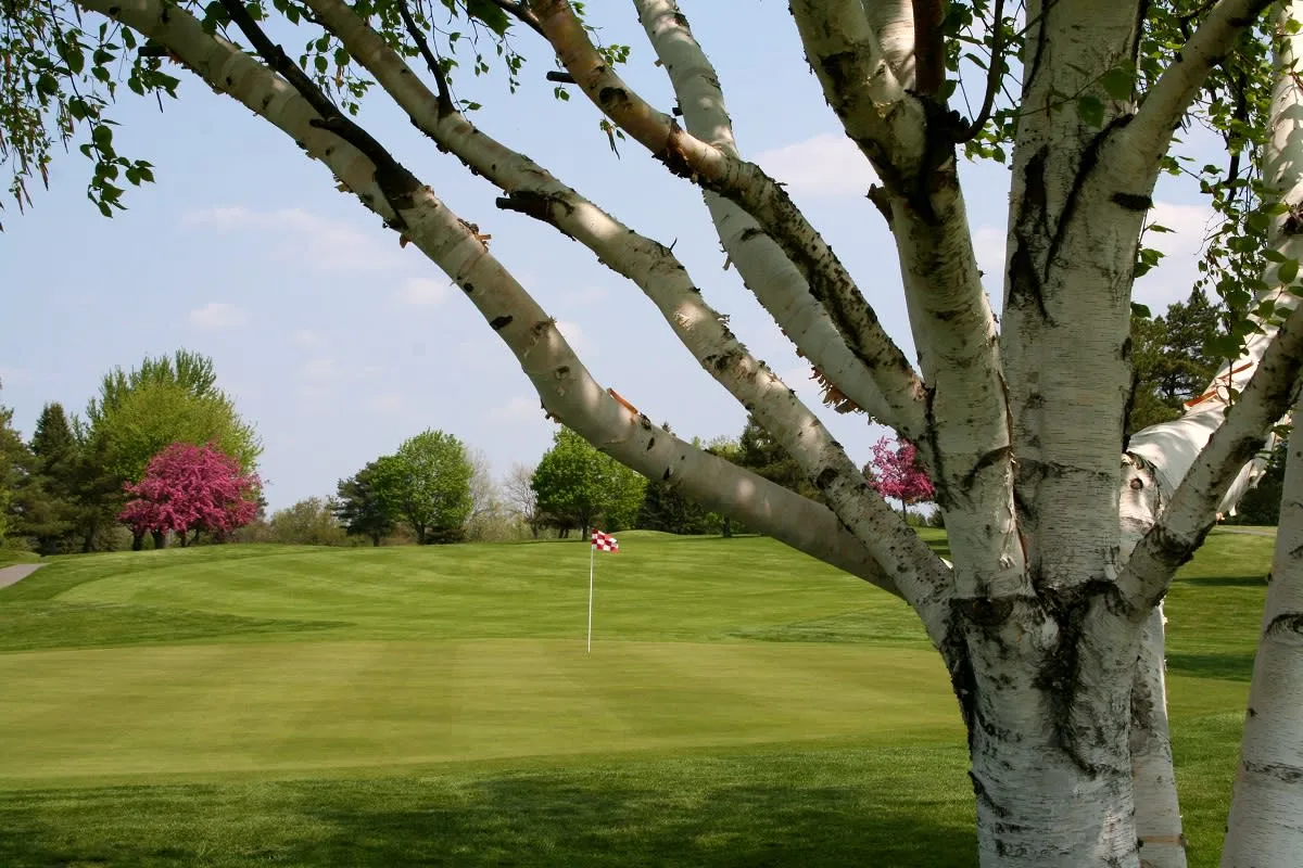 Golf course photo