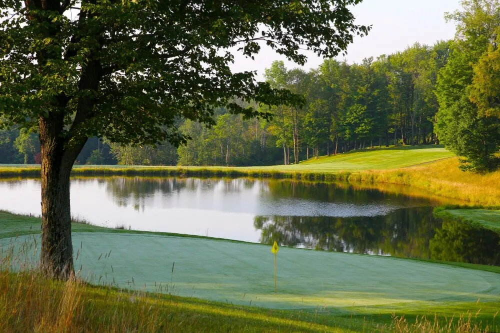 Golf course photo