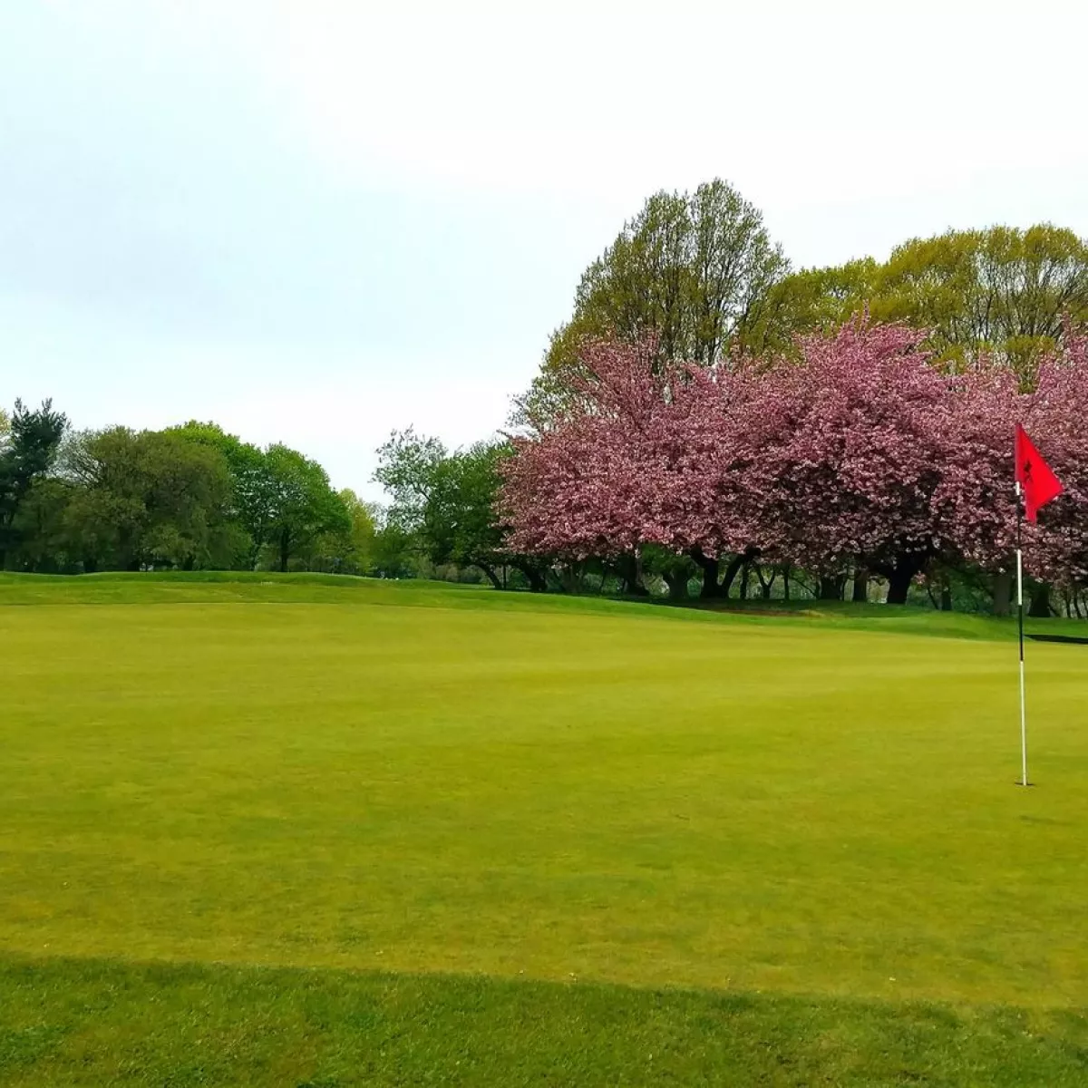 Golf course photo