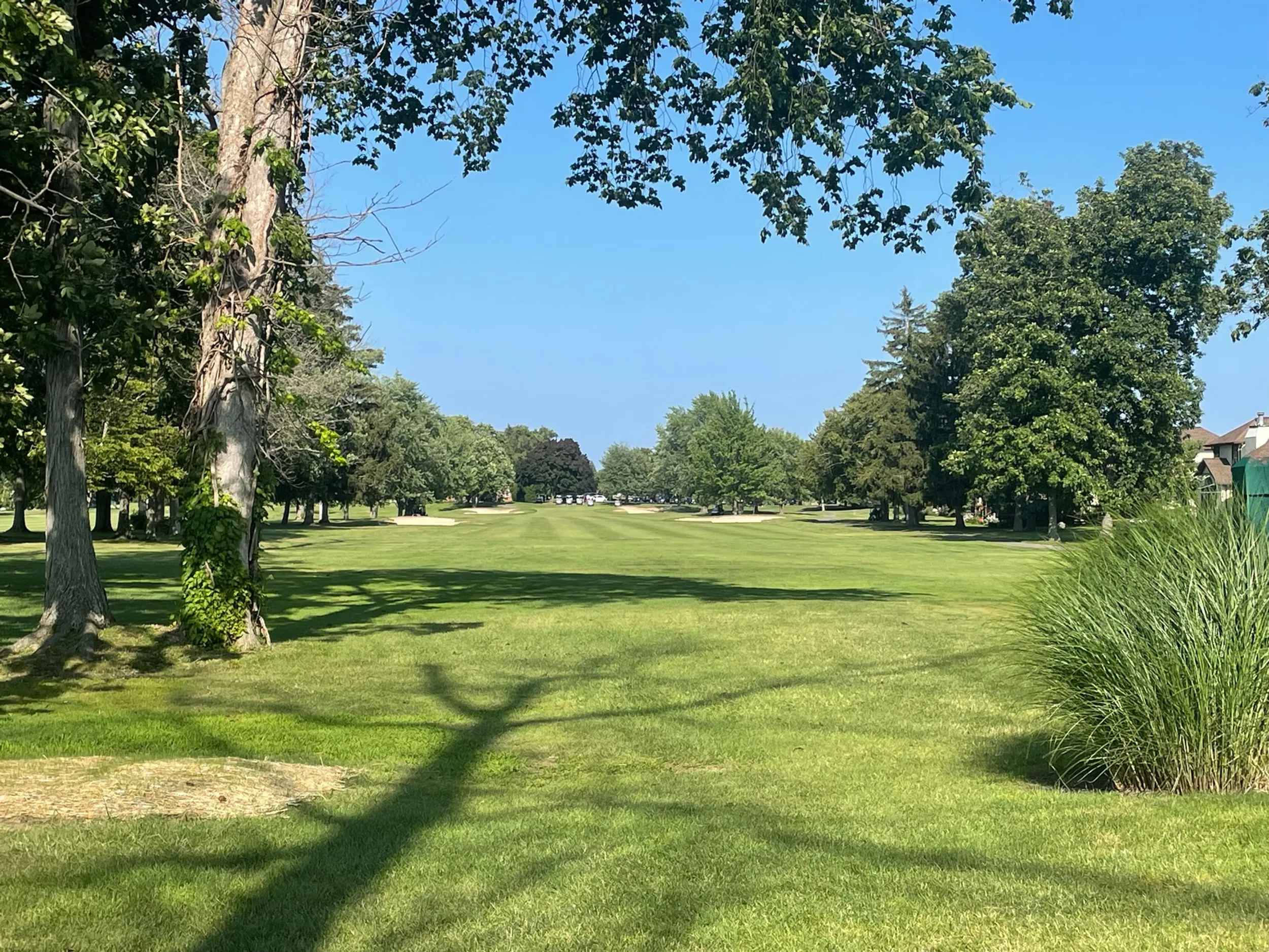 Golf course photo