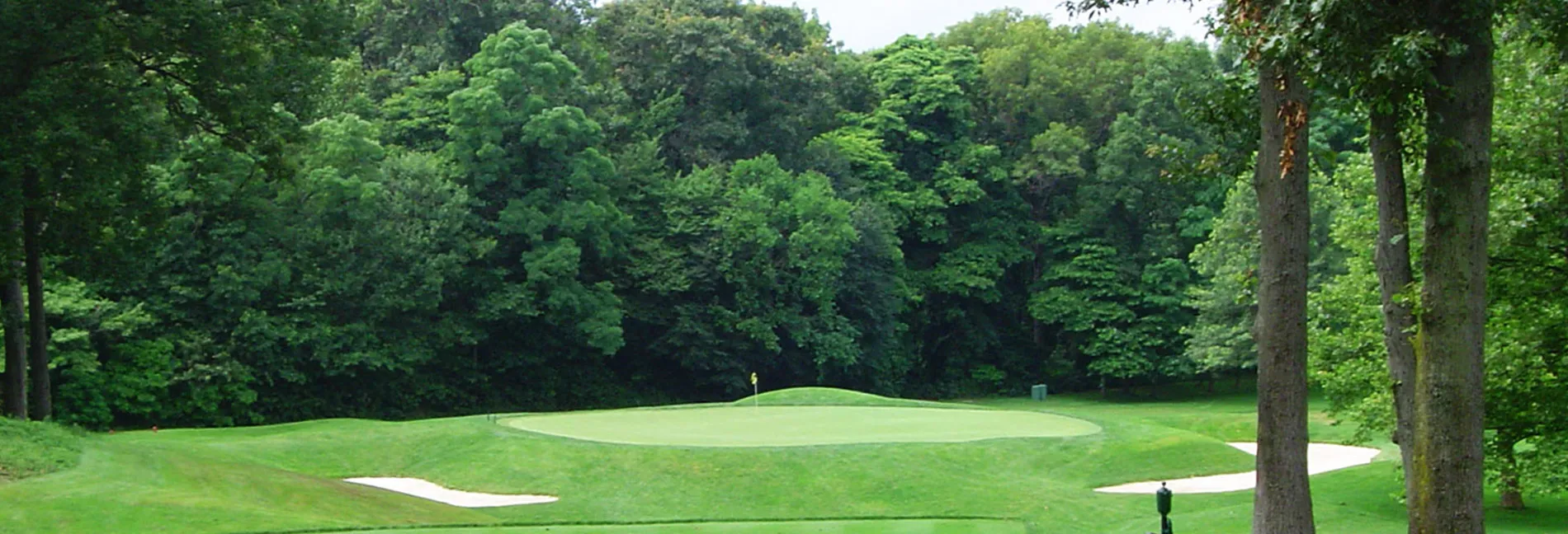 Golf course photo