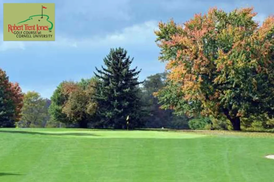 Golf course photo
