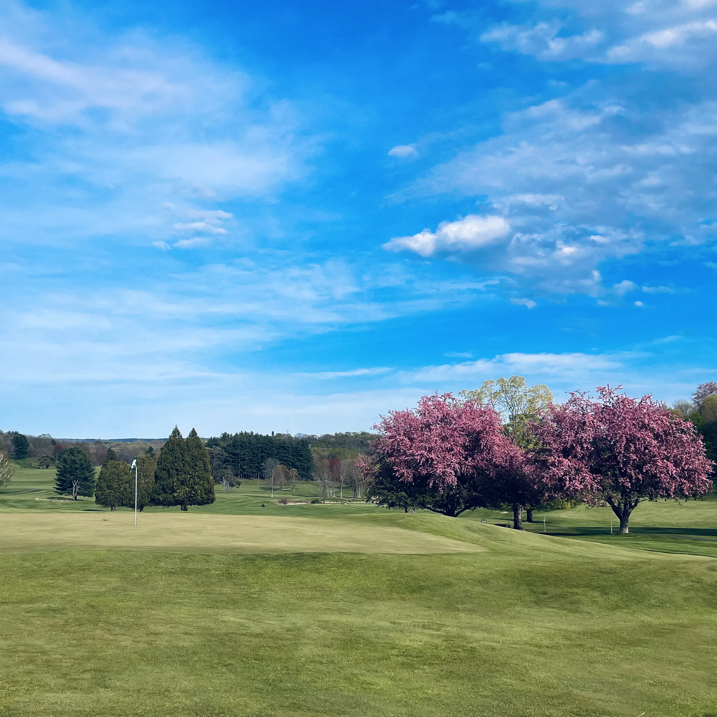 Golf course photo
