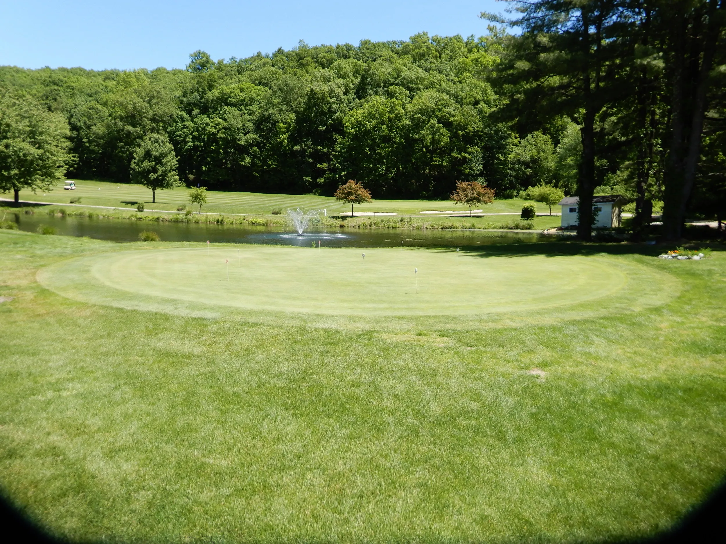 Golf course photo
