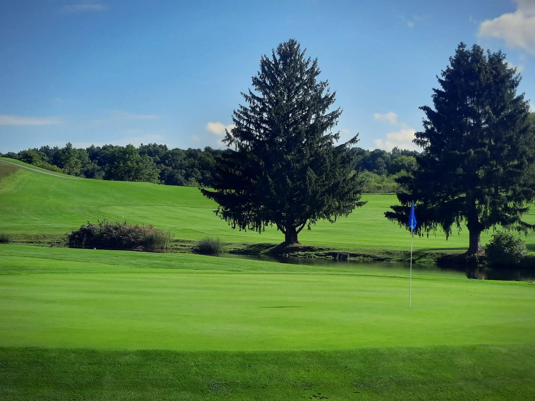 Golf course photo