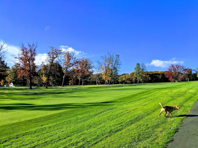 Golf course photo