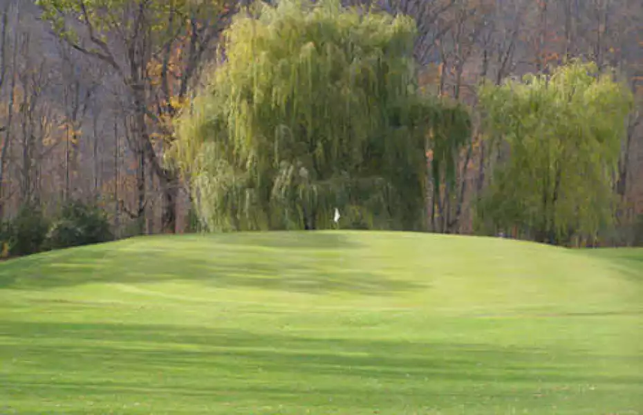 Golf course photo