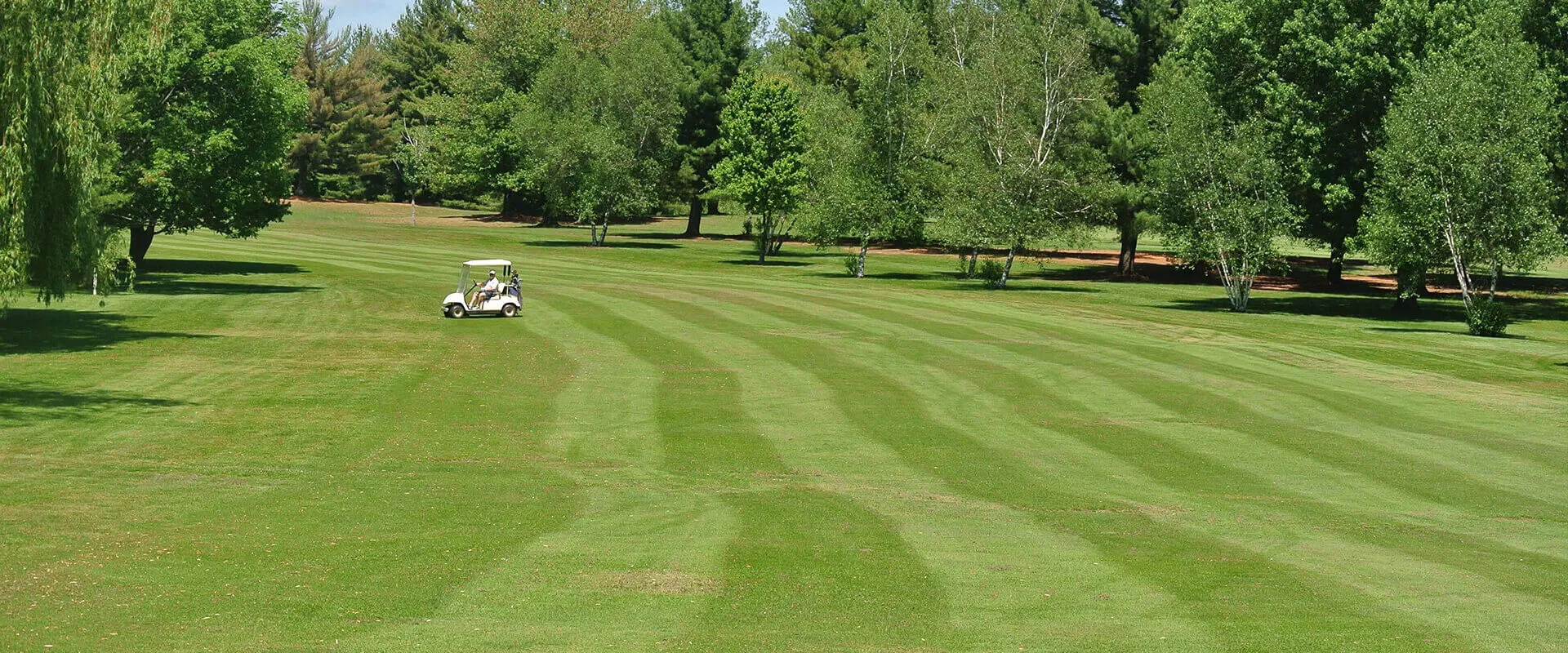 Golf course photo