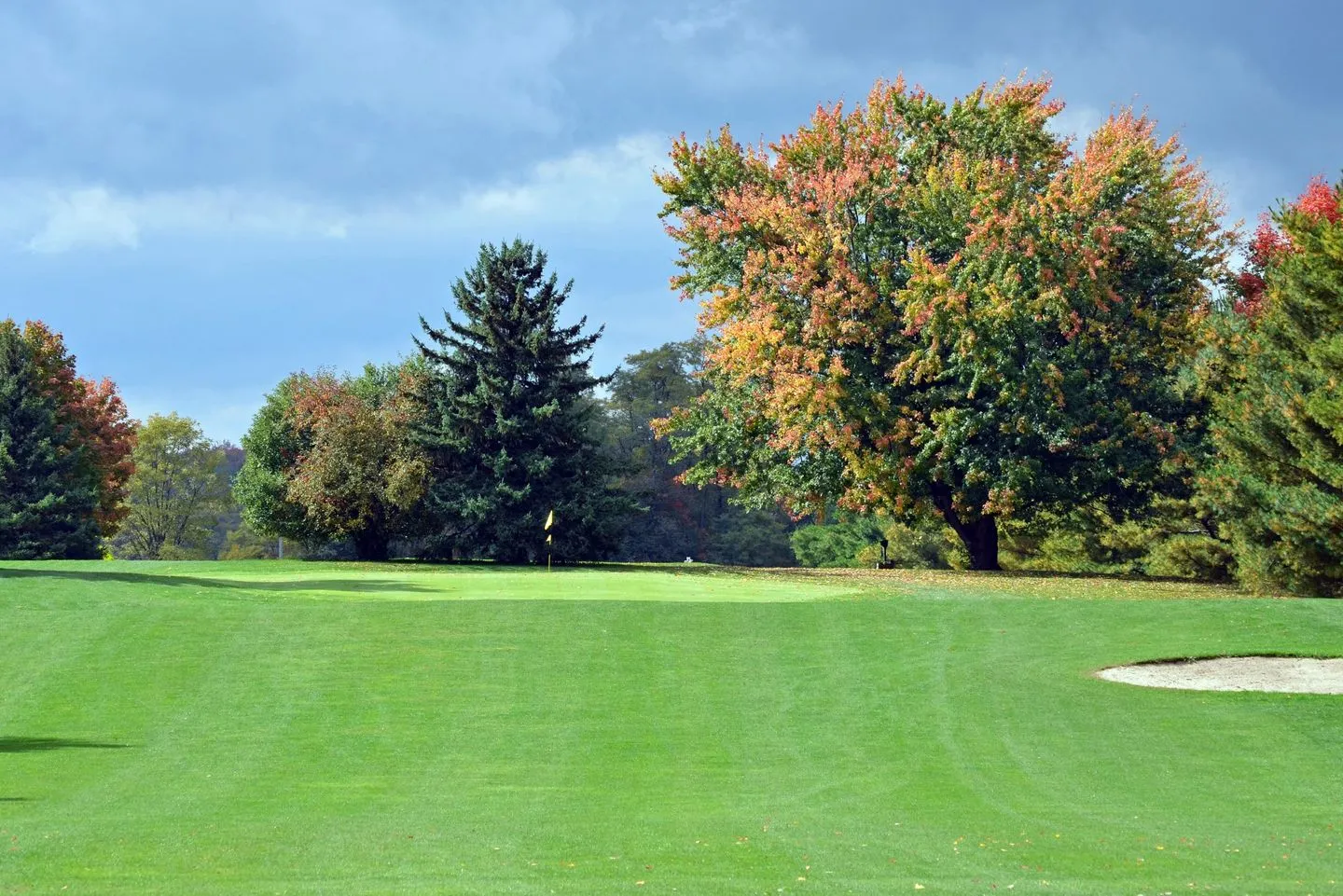 Golf course photo