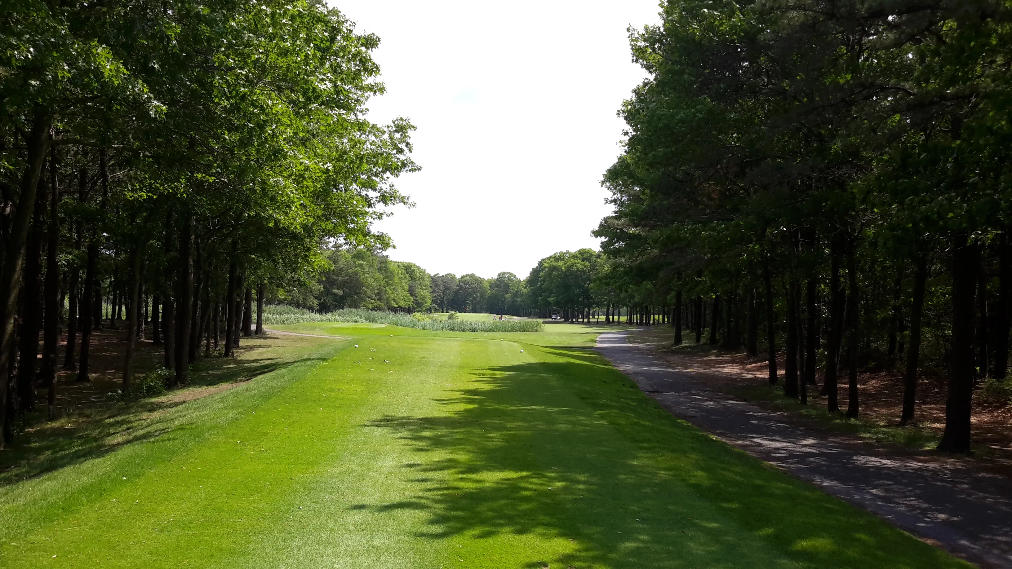 Golf course photo