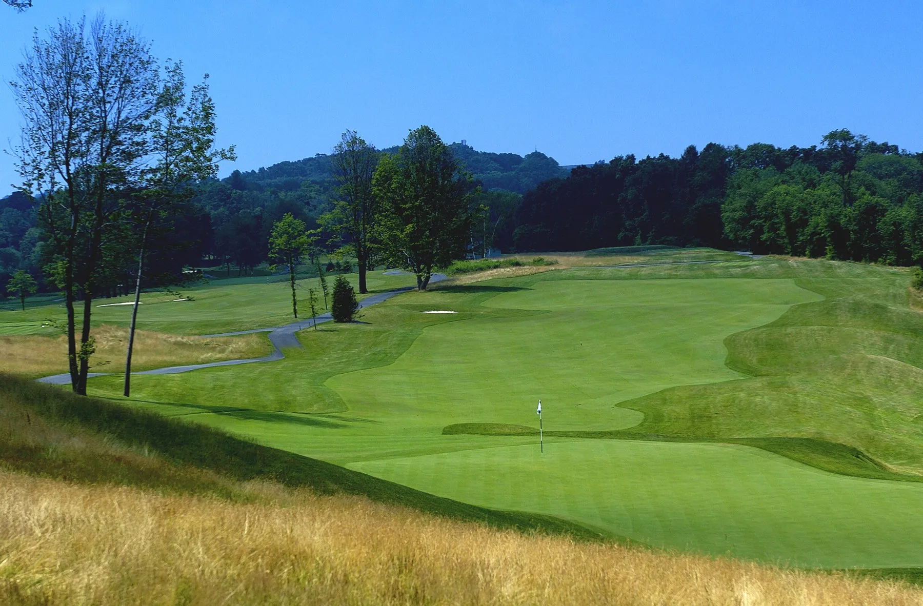 Golf course photo