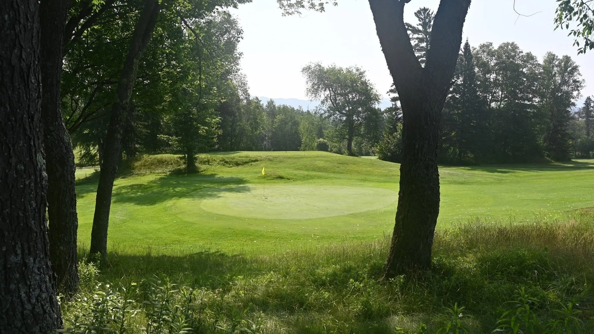Golf course photo