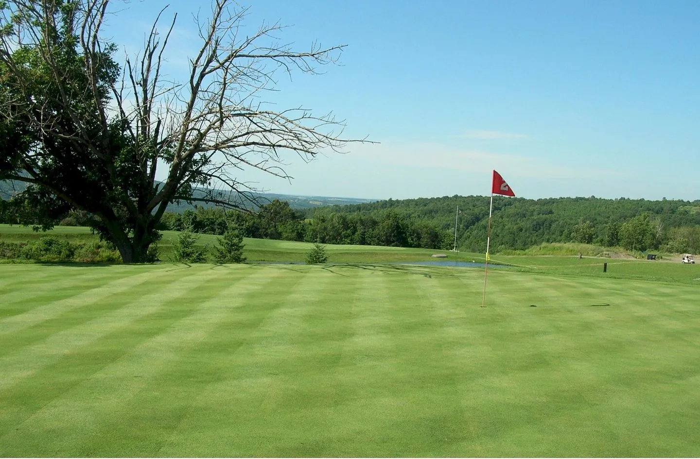 Golf course photo