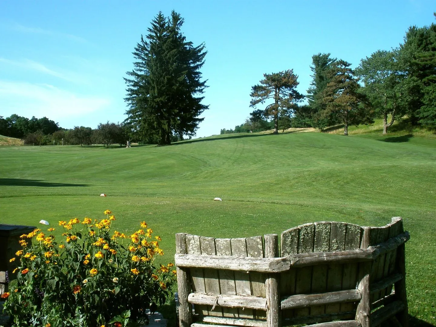 Golf course photo