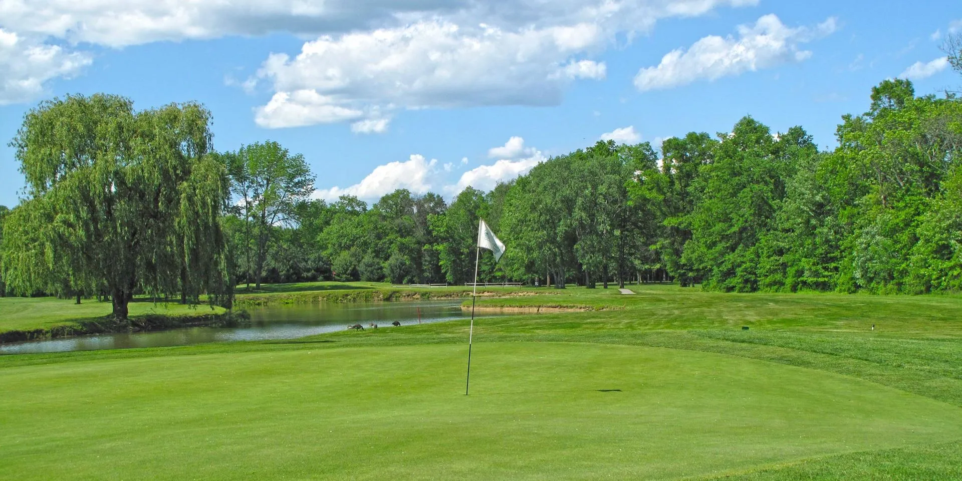 Golf course photo