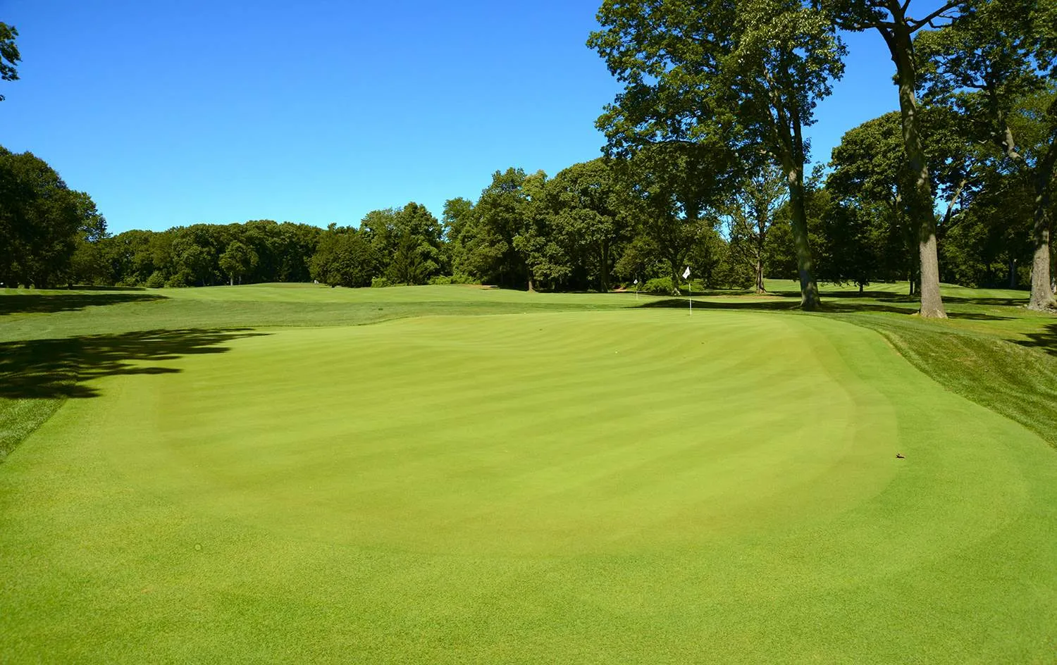 Golf course photo
