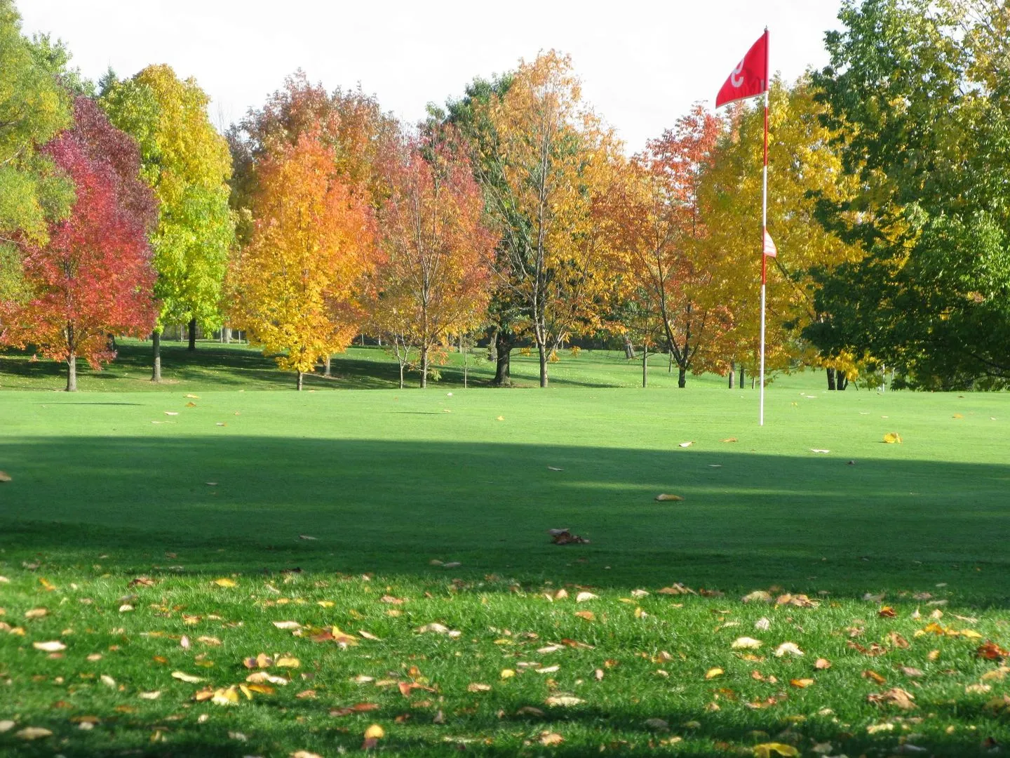 Golf course photo