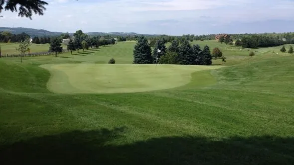 Golf course photo