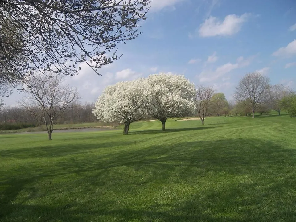 Golf course photo