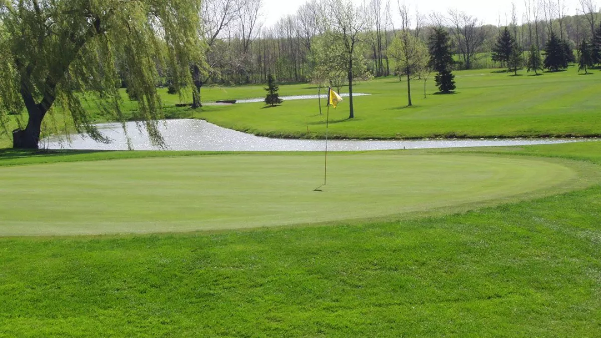 Golf course photo