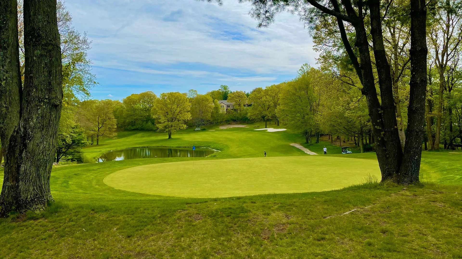 Golf course photo