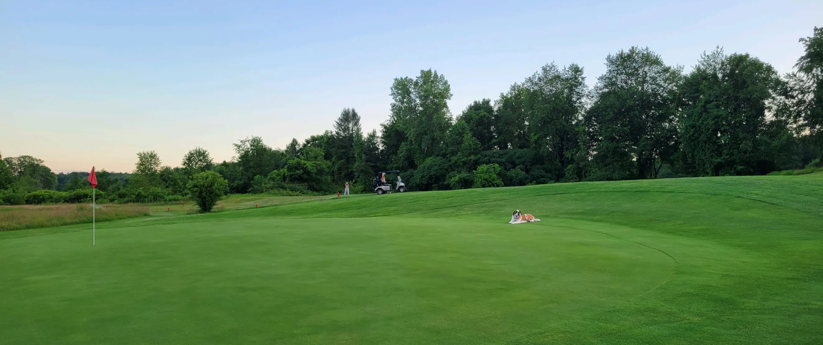 Golf course photo