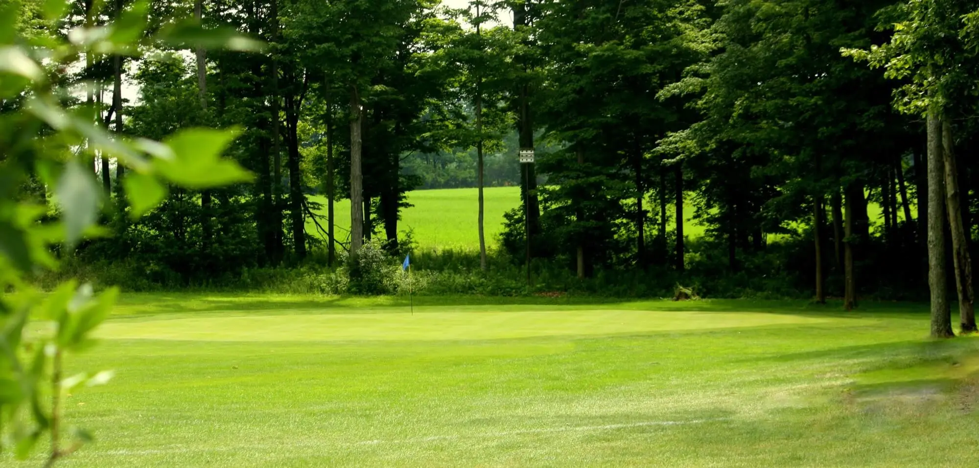 Golf course photo