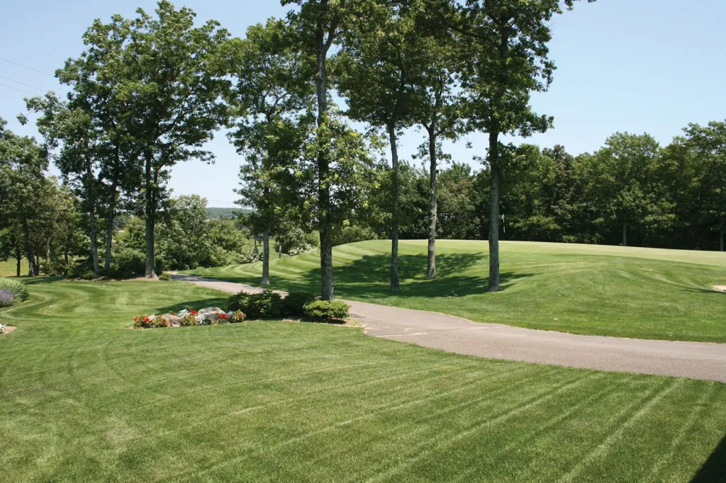 Golf course photo