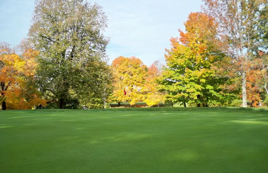 Golf course photo