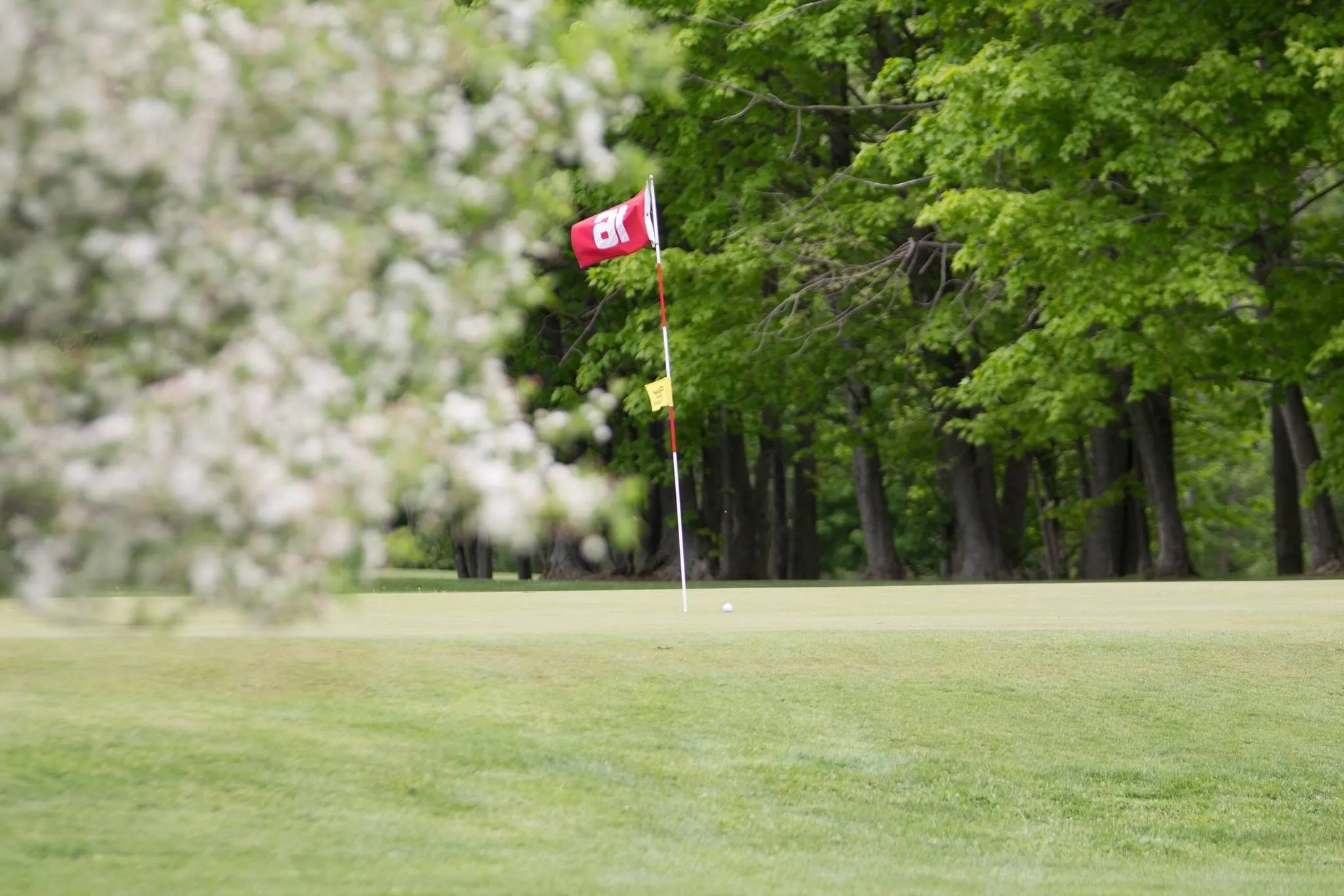 Golf course photo