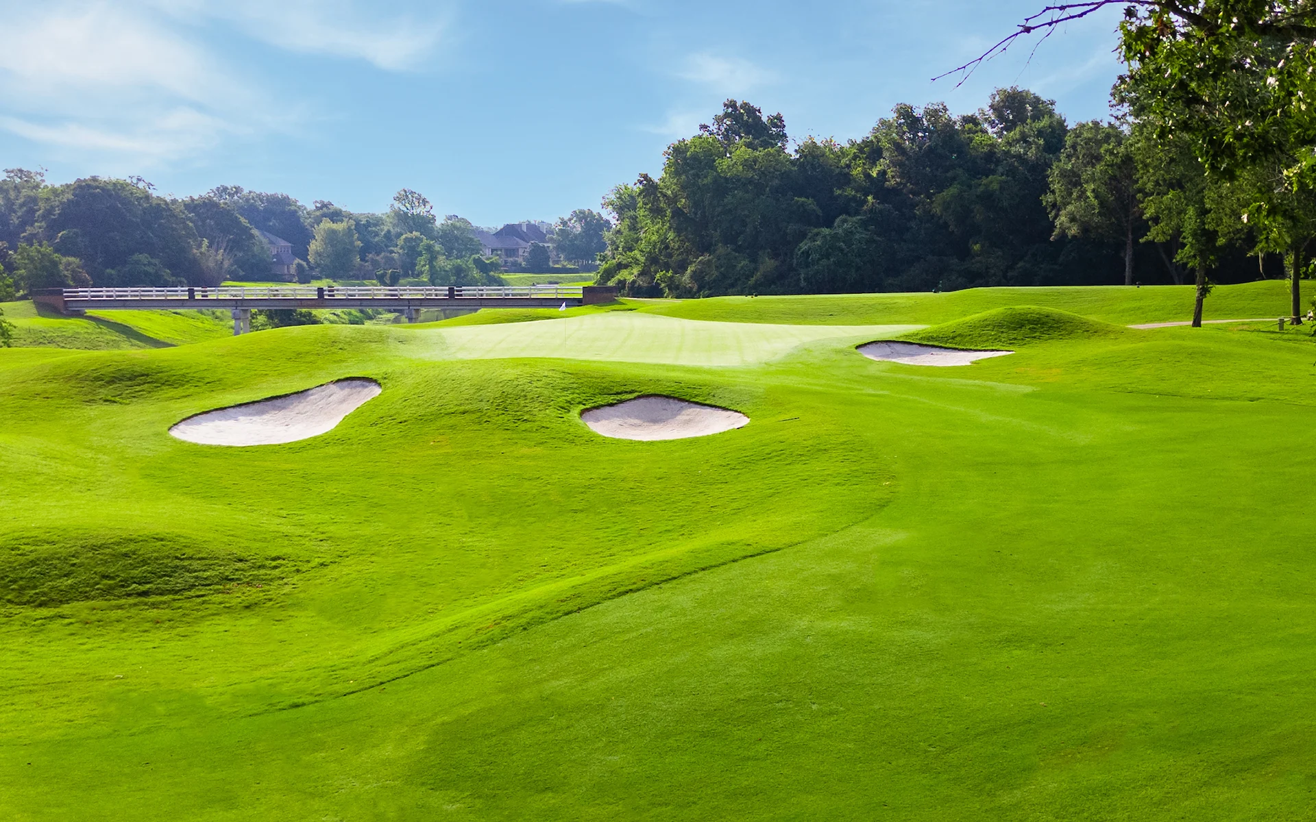 Golf course photo