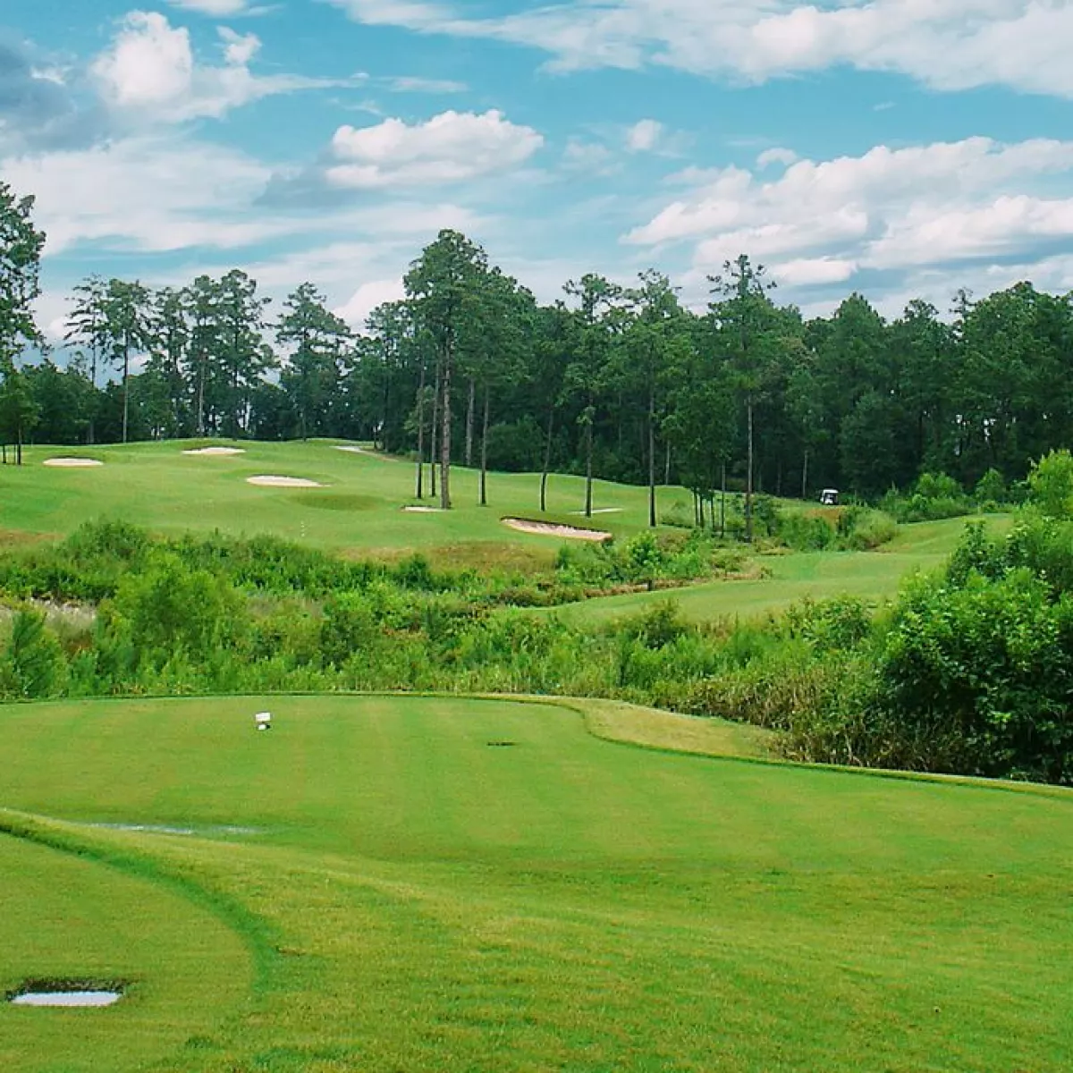 Golf course photo