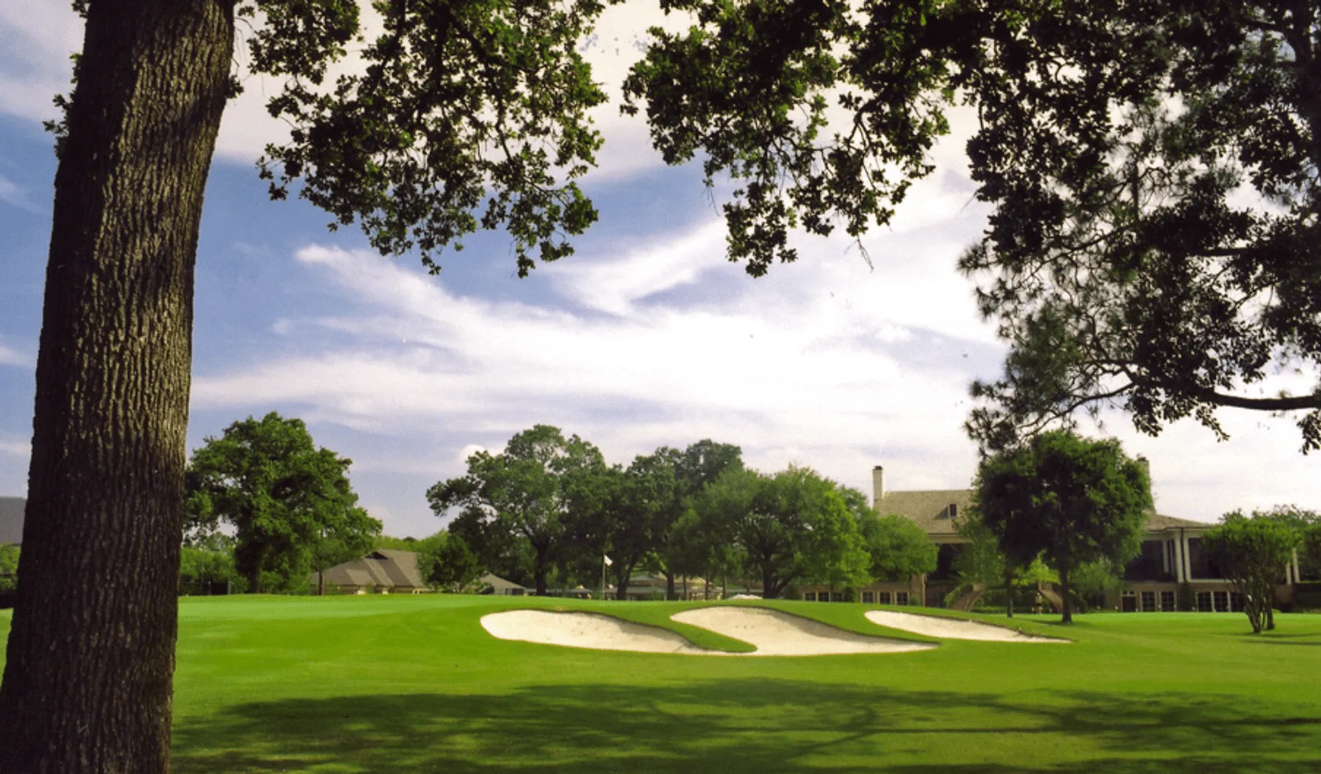 Golf course photo