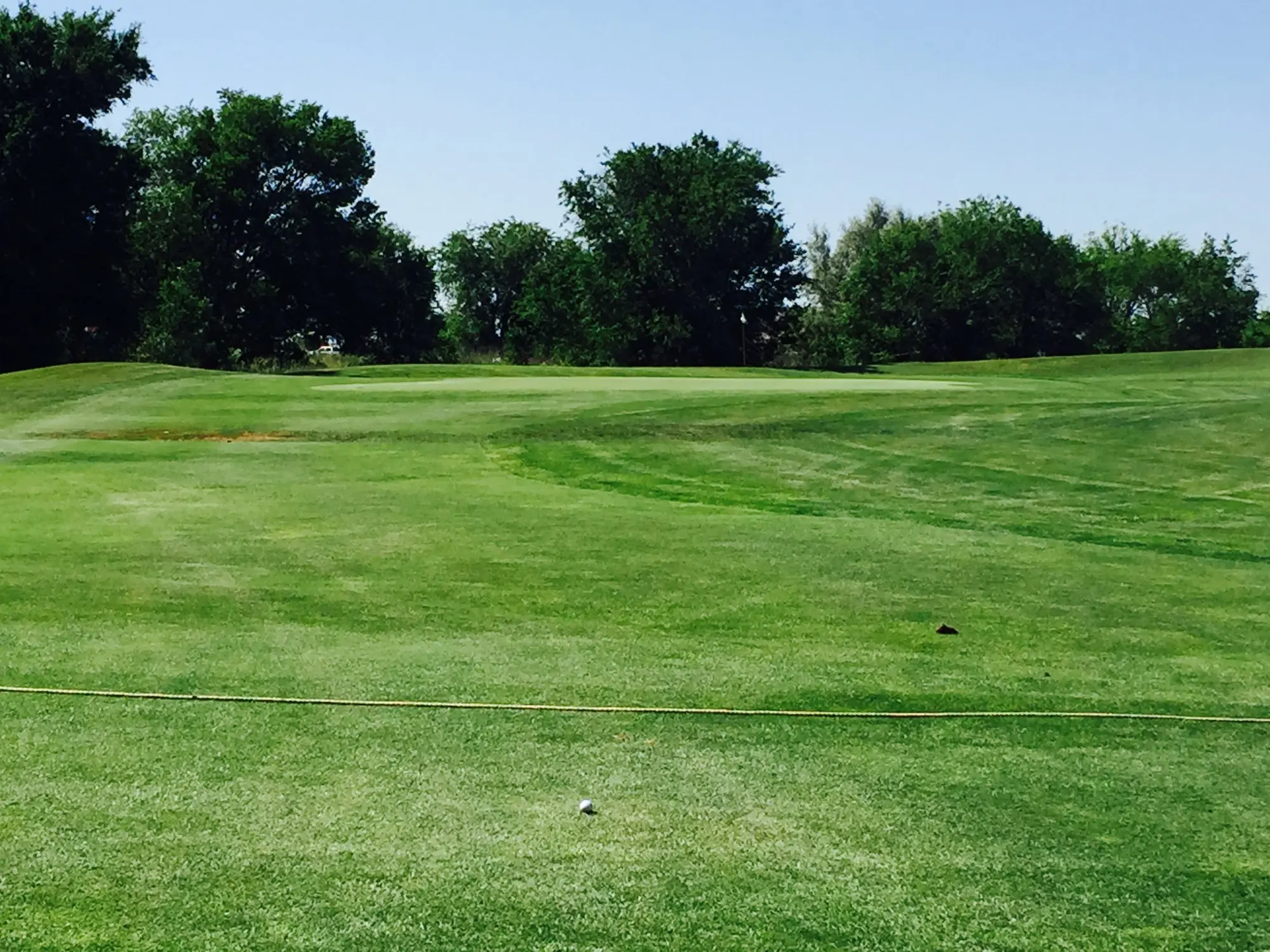 Golf course photo