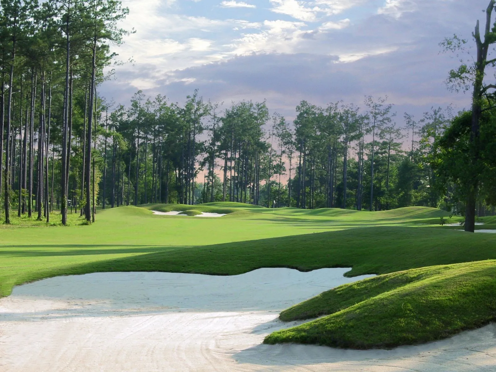 Golf course photo