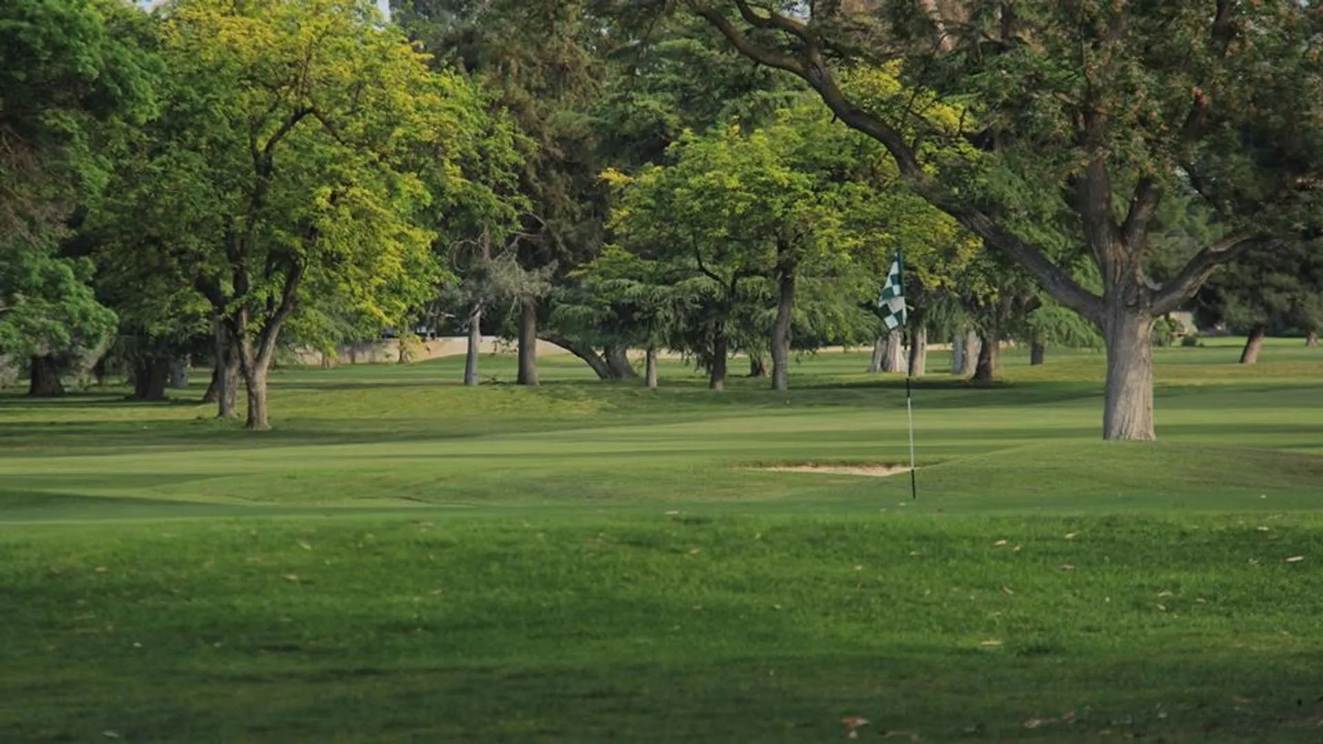 Golf course photo