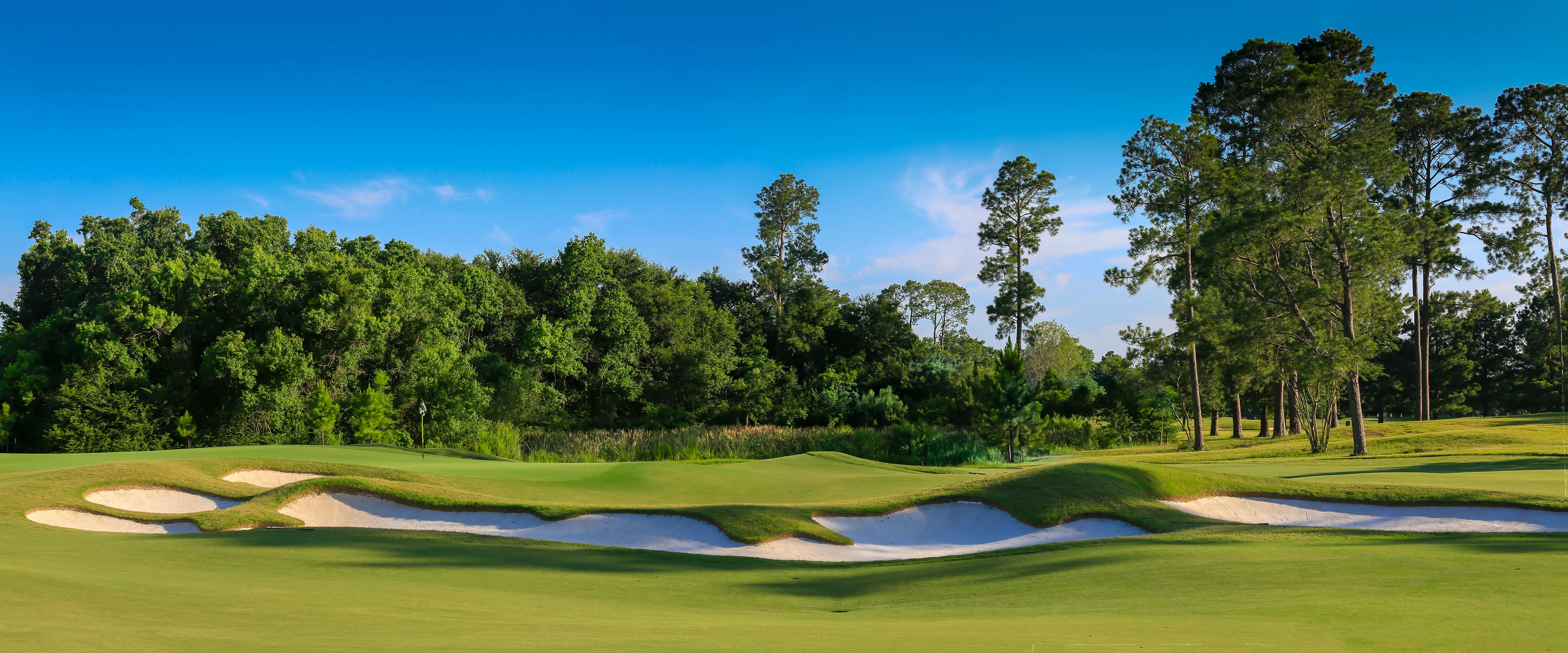 Golf course photo