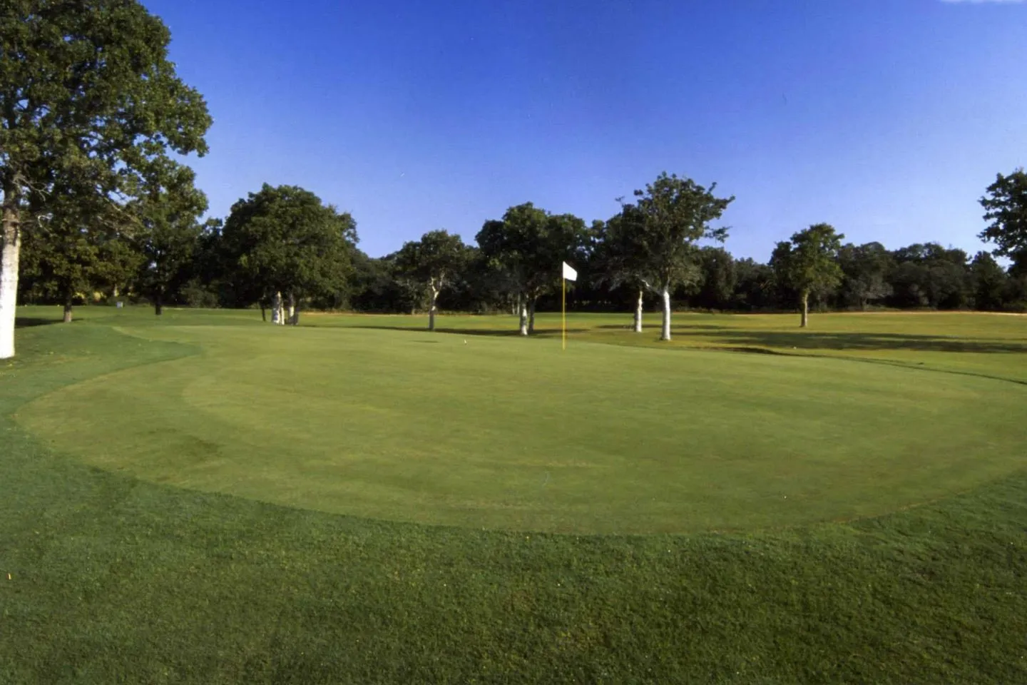 Golf course photo