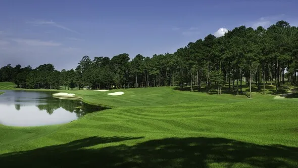 Golf course photo