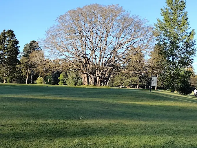 Golf course photo
